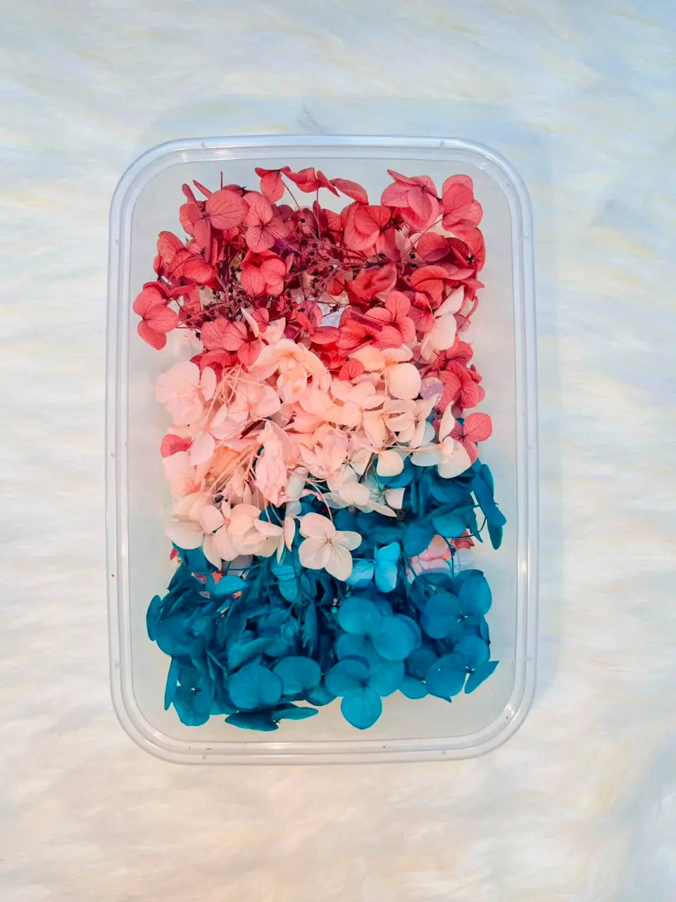 Mixed-Colour Hydrangea Flower Box for Cakes & Crafts