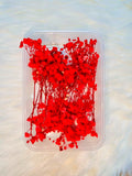 Red Dried Baby’s Breath Flower Box for Cakes & Crafts
