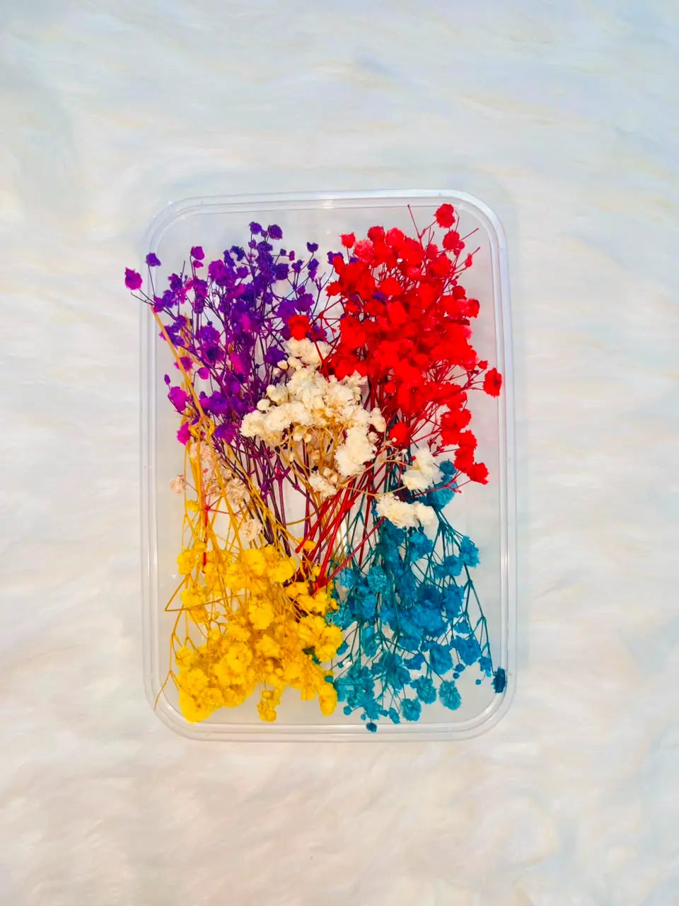 Multicolor Dried Baby’s Breath Flower Box