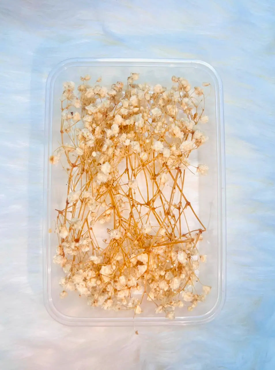 White Dried Baby’s Breath Flower Box for Cakes & Crafts
