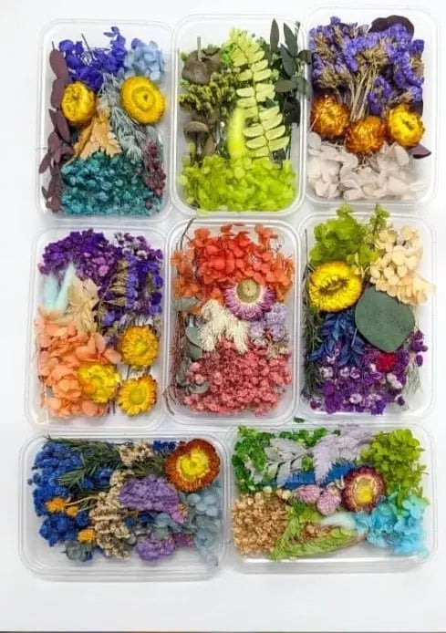 Imported Dried Flowers Box Mix | Premium Decorative Dried Flowers