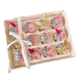 12 Cupcakes Transparent Lid Box | Clear Cupcake Packaging Box for Bakery & Gifts